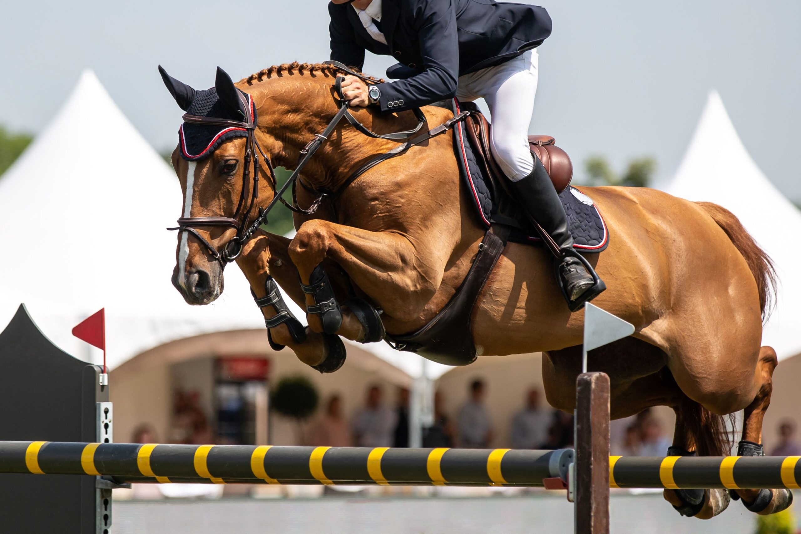 A person jumps over an obstacle with a horse
